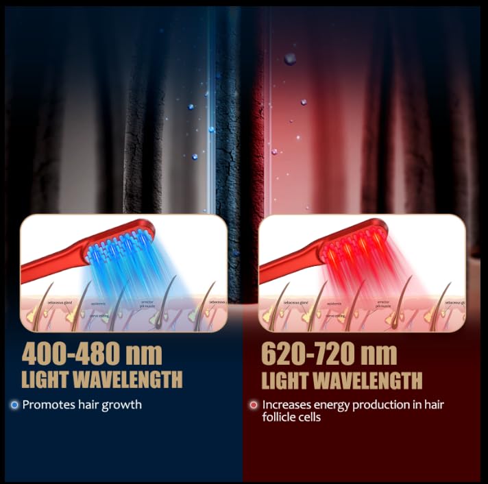 Pettine per la Crescita dei Ca - Industrial Laser Beam recensione e prezzo